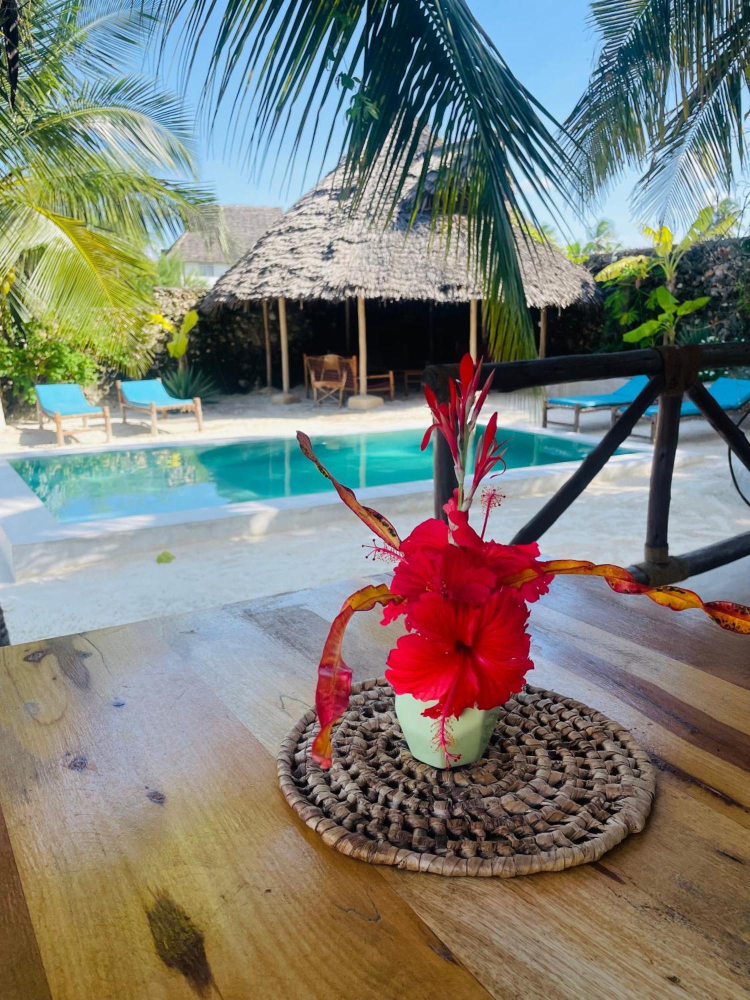 Sand Beach Boutique Apartments Bwejuu Esterno foto