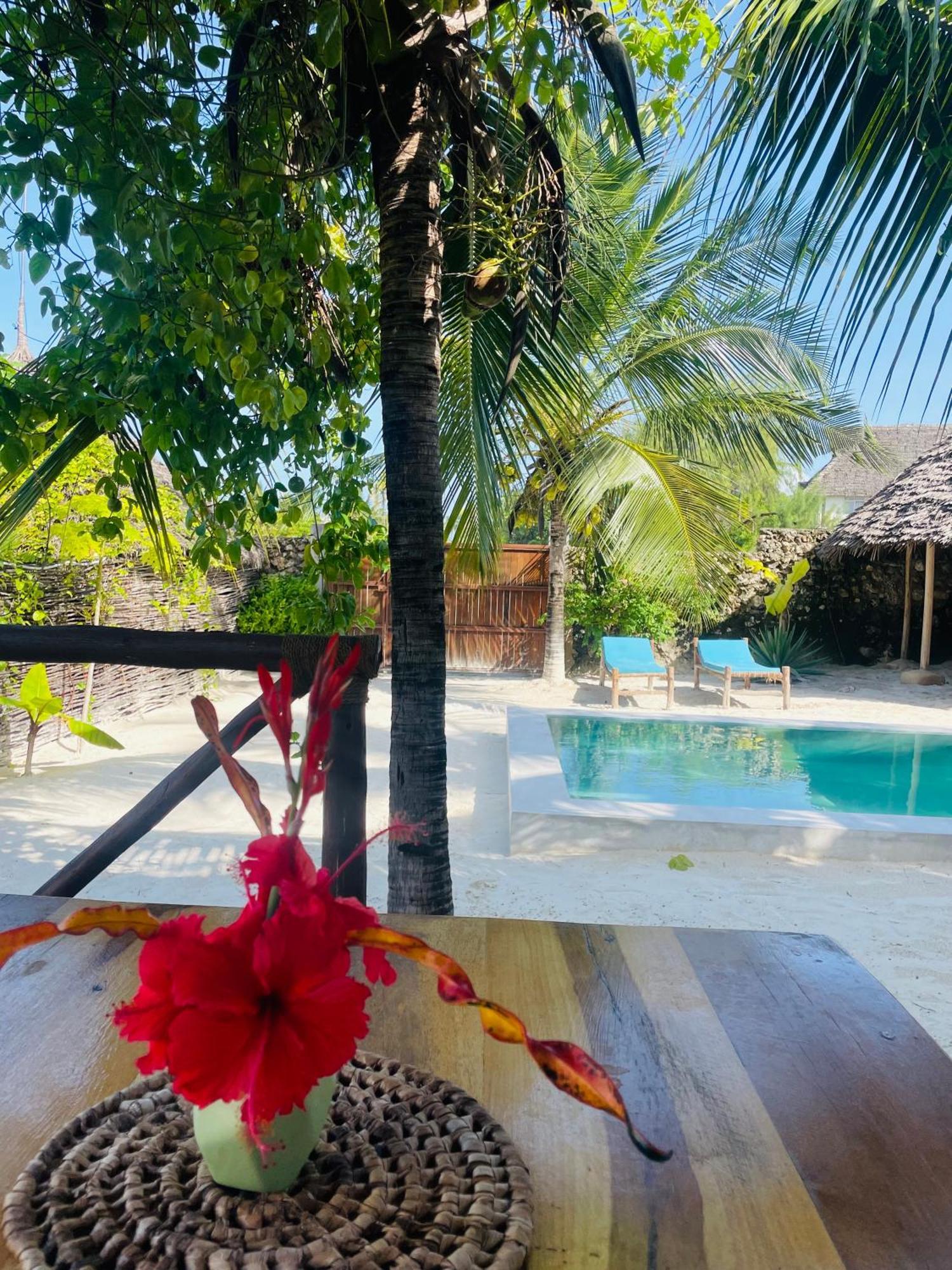 Sand Beach Boutique Apartments Bwejuu Esterno foto